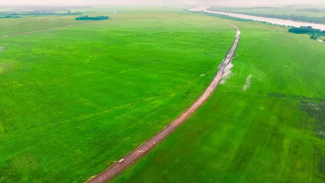 Aerial panorama of Fambul Rice fields
